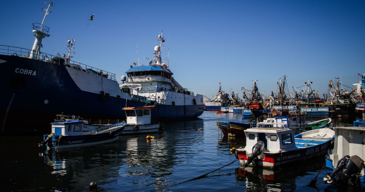 Reparto Justo: Cómo la Nueva Ley de Fraccionamiento Equilibra la Pesca Artesanal e Industrial