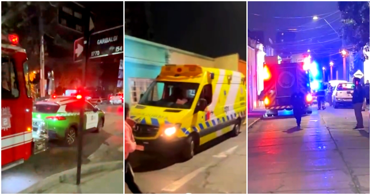 Tragedia en Ñuñoa: Mujer y su gato mueren por fuga de gas en su hogar