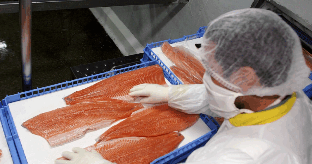 Alerta Alimentaria por Listeria en Salmón Ahumado: Conoce los Detalles Clave