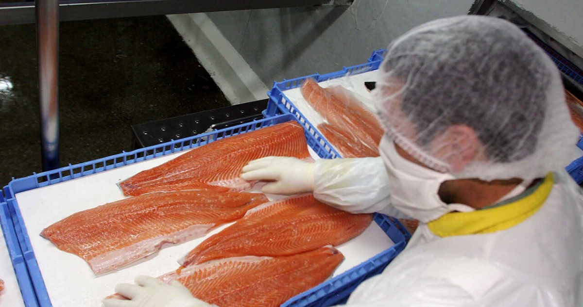Alerta Alimentaria por Listeria en Salmón Ahumado: Conoce los Detalles Clave