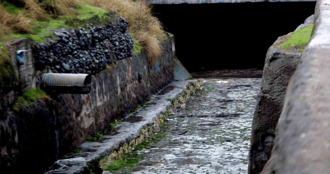 Alerta Sanitaria en Pichil: Autoridades Ordenan Acción Inmediata Contra Grave Riesgo por Aguas Residuales