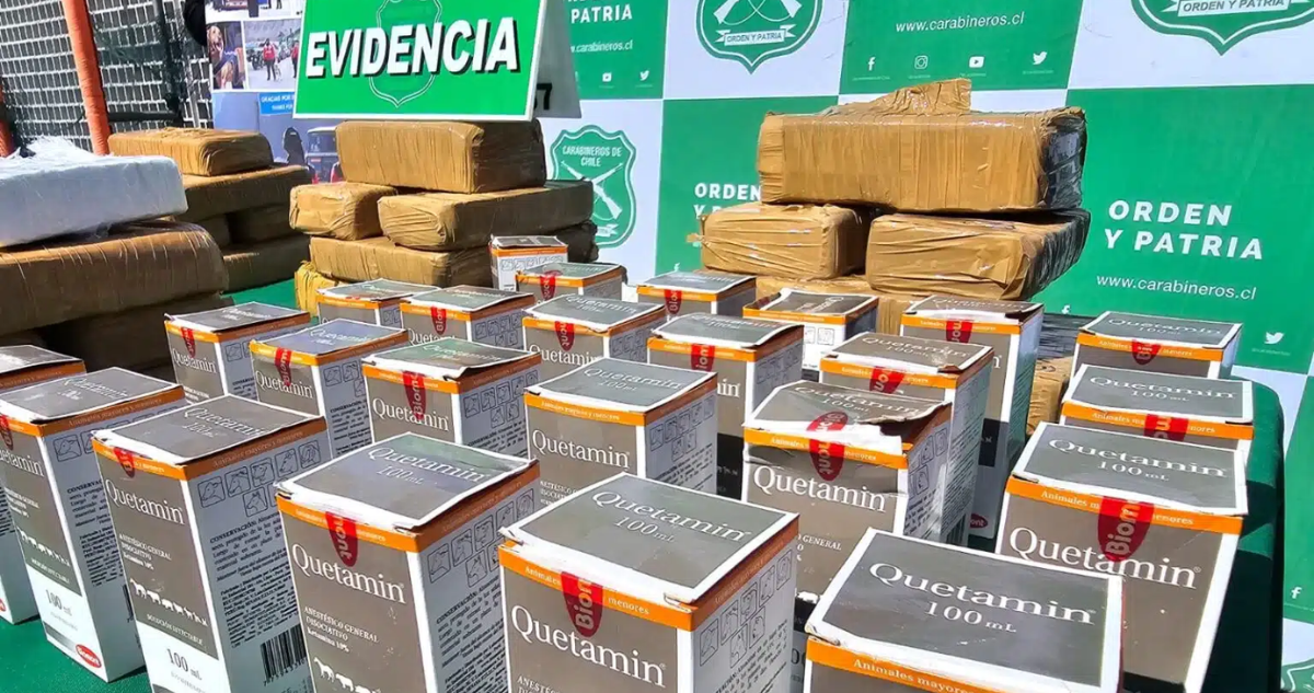 Alerta en Antofagasta: Incautaciones de Ketamina se Disparan, Revelando una Red Transnacional de Narcotráfico