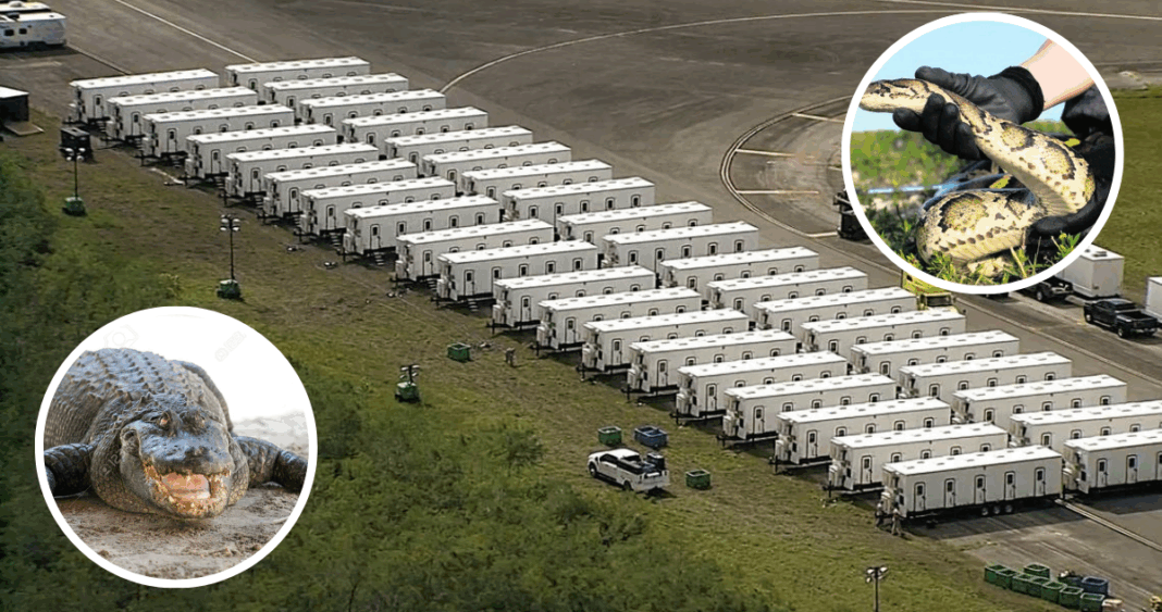 Alligator Alcatraz: La Prisión Inexpugnable de Migrantes en los Everglades