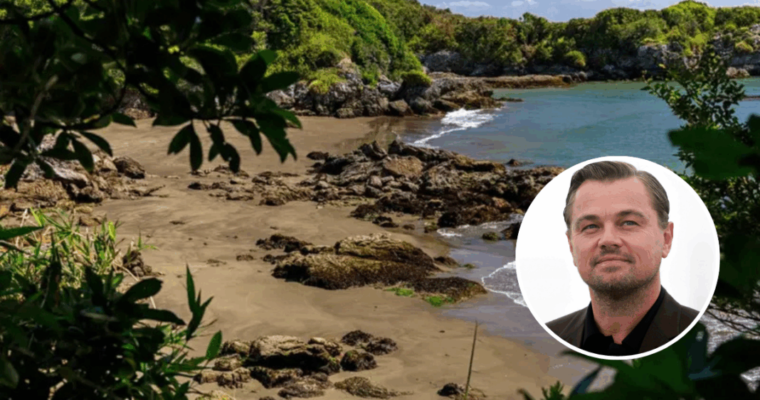 Armada de Chile Mantiene Presencia en Isla Guafo Pese a Compra por ONG de DiCaprio