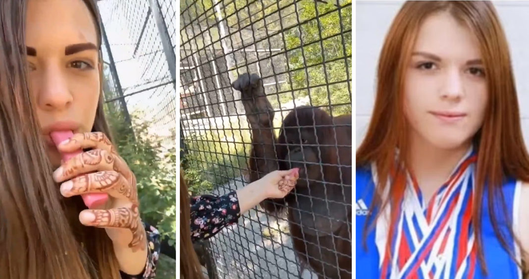 Boxeadora Rusa Pone en Peligro a Orangután al Darle Vaporizador en Zoológico de Crimea
