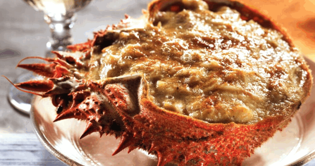 Centolla Magallánica: Tesoro Marino de Sabor Exquisito y Precio Elevado