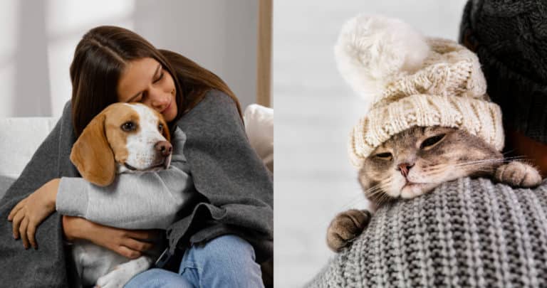 Cómo Mantener a tu Mascota Sana y Feliz en el Invierno: Consejos de una Experta Veterinaria