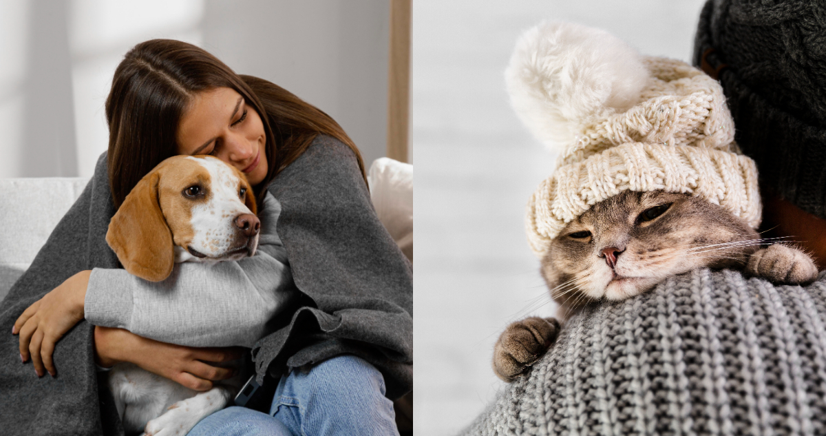 Cómo Mantener a tu Mascota Sana y Feliz en el Invierno: Consejos de una Experta Veterinaria