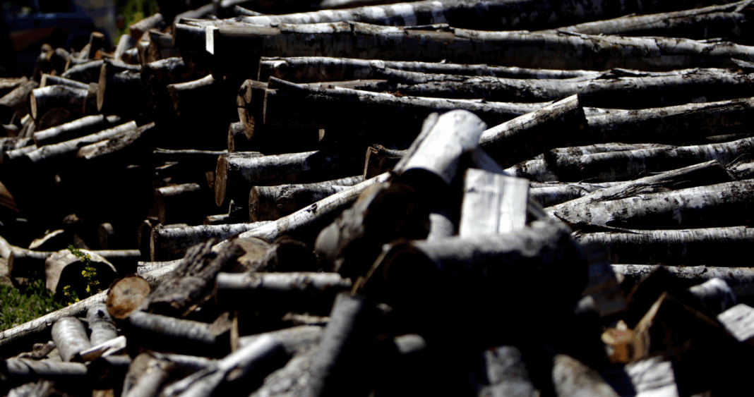 Comuneros Mapuche Absueltos Temporalmente de Cargos por Robo de Madera: Batalla Legal por Tierras Ancestrales