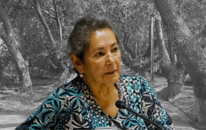 Concejala Desaparecida en Villa Alegre: Cambio de Fiscal Reaviva la Esperanza de sus Hijas