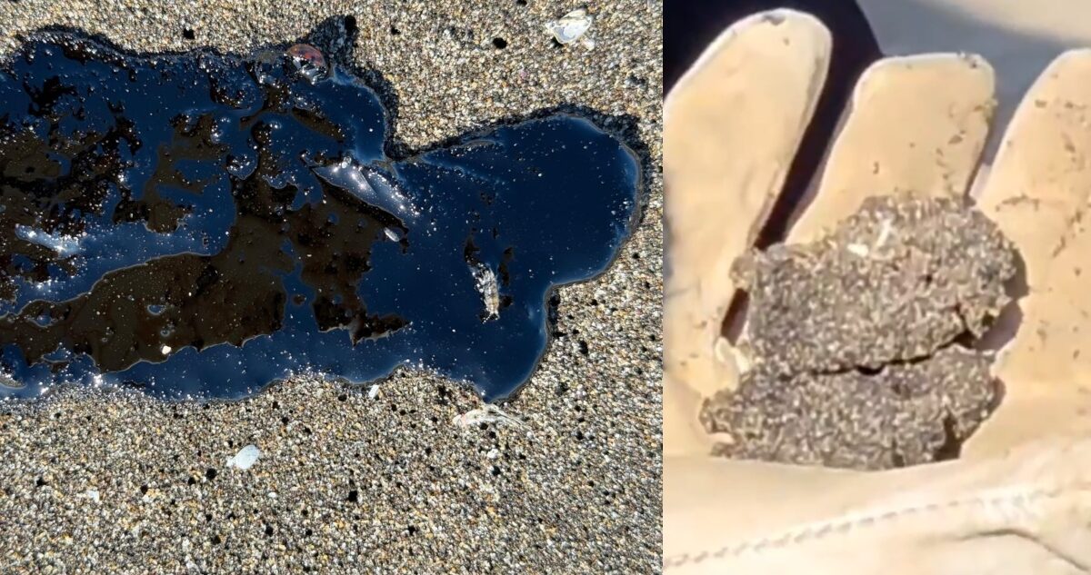 Descubren Otra Mancha Tóxica en Aguas de Valparaíso: ¿Qué Revelan los Análisis?