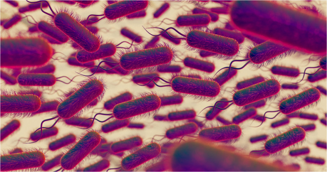 Descubren gen que confiere resistencia a todos los antibióticos: Una amenaza global silenciosa