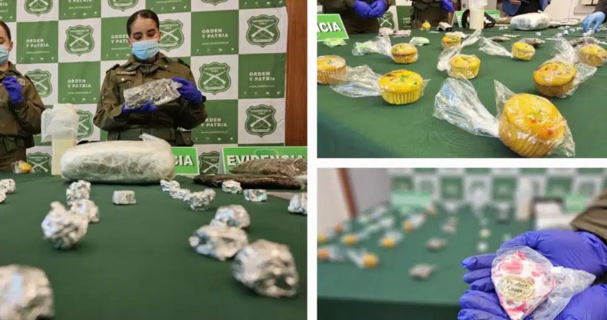 Desmantelan red de tráfico de drogas que vendía productos comestibles con marihuana en Antofagasta