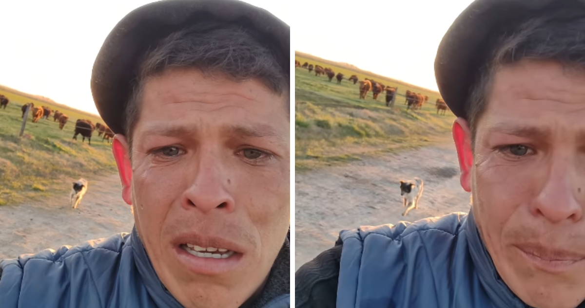 Despido Conmovedor: Hombre Llora al Dejar a su Fiel Compañero Canino