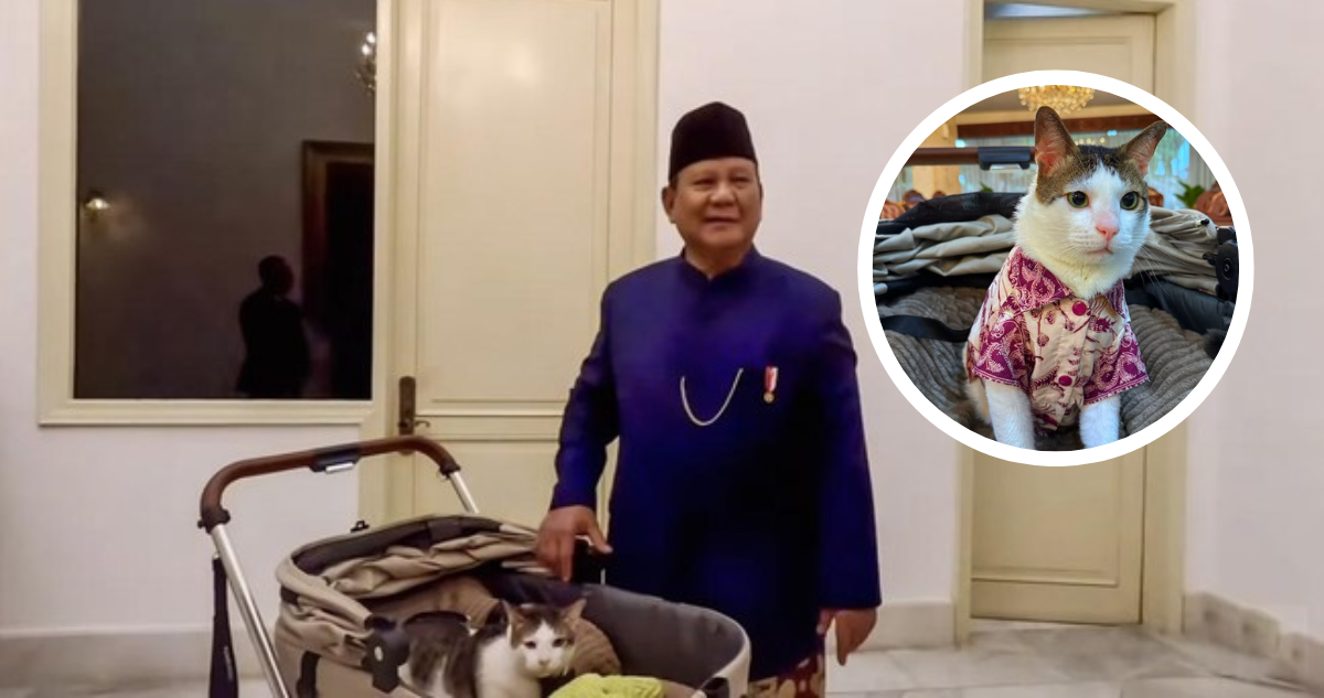 El Gato Presidencial de Indonesia: Seguridad, Protocolo y Controversia
