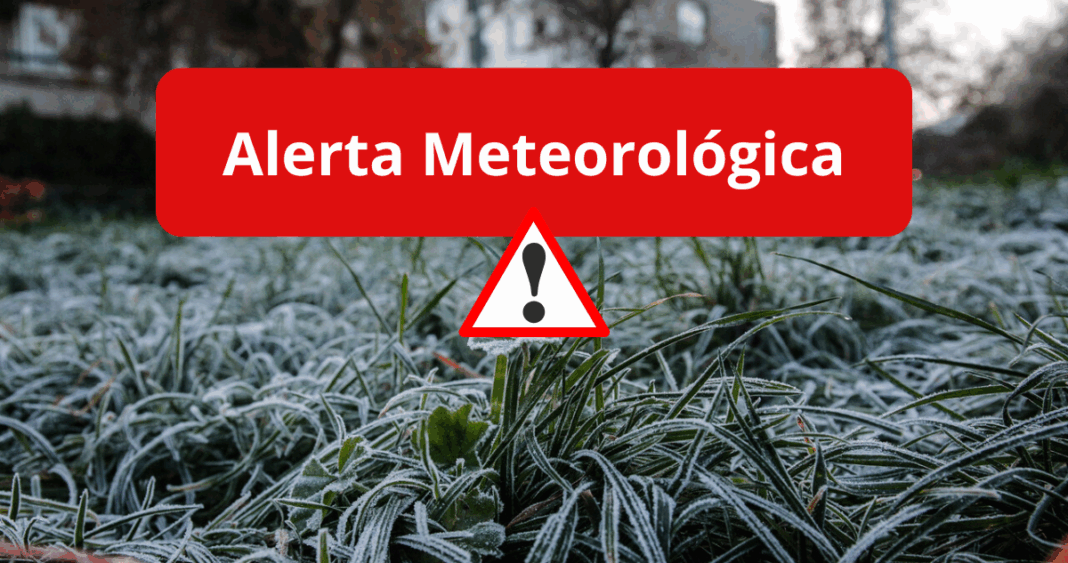 Enfrentando las Gélidas Temperaturas: Cómo Protegerse de las Severas Heladas en Los Lagos y Aysén