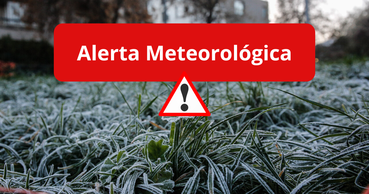 Enfrentando las Gélidas Temperaturas: Cómo Protegerse de las Severas Heladas en Los Lagos y Aysén