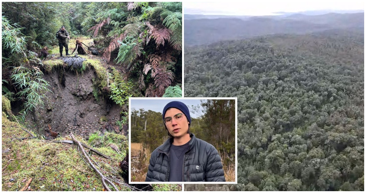 Estudiante Desaparecido en el Parque Tepuhueico: Desafíos de la Búsqueda en Medio de Lluvias y Geografía Compleja