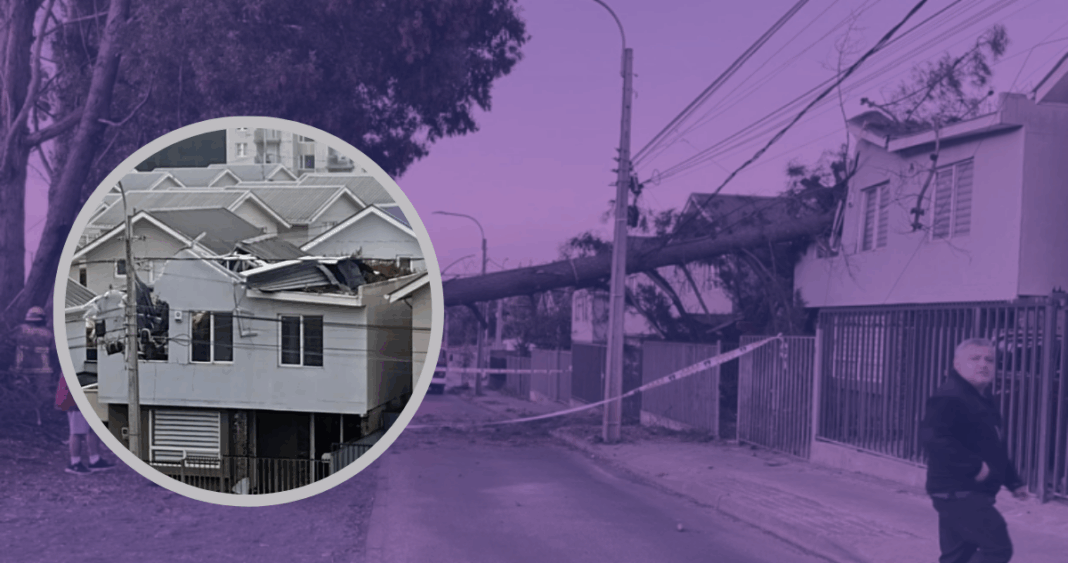 Familia espera 4 meses por reparación de casa tras caída de árbol