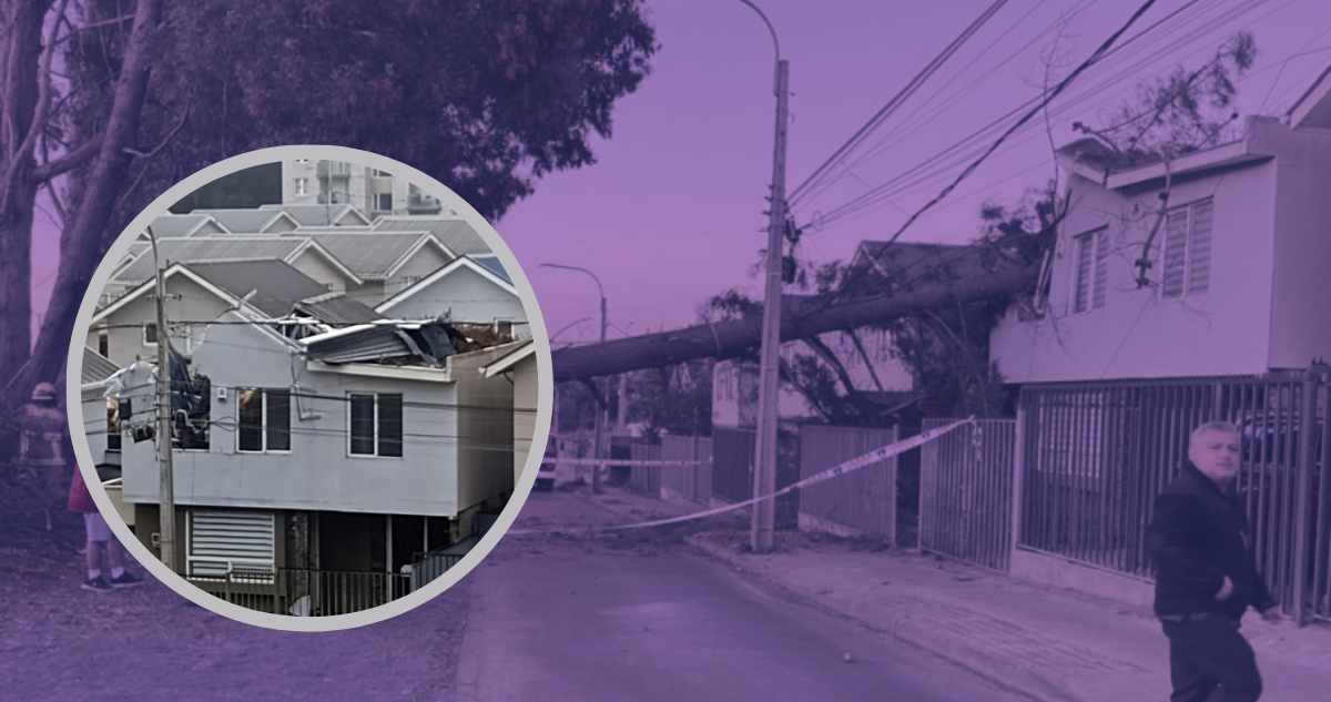Familia espera 4 meses por reparación de casa tras caída de árbol