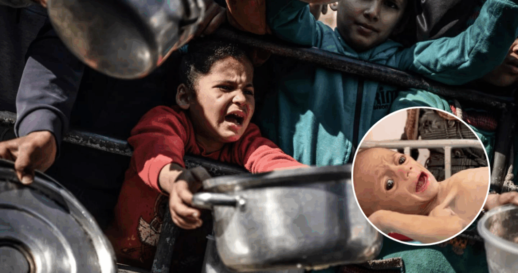 Hambruna en Gaza: 21 niños mueren de desnutrición en 72 horas