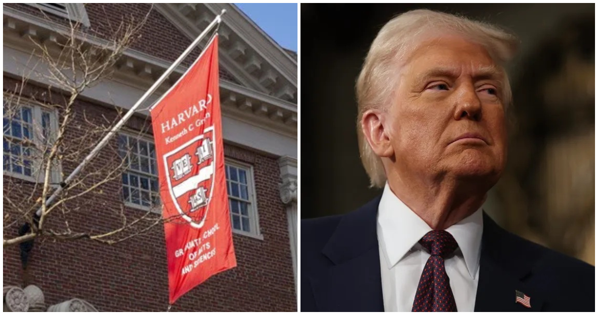 Harvard Reestructura Oficinas de Diversidad Tras Presión de Trump