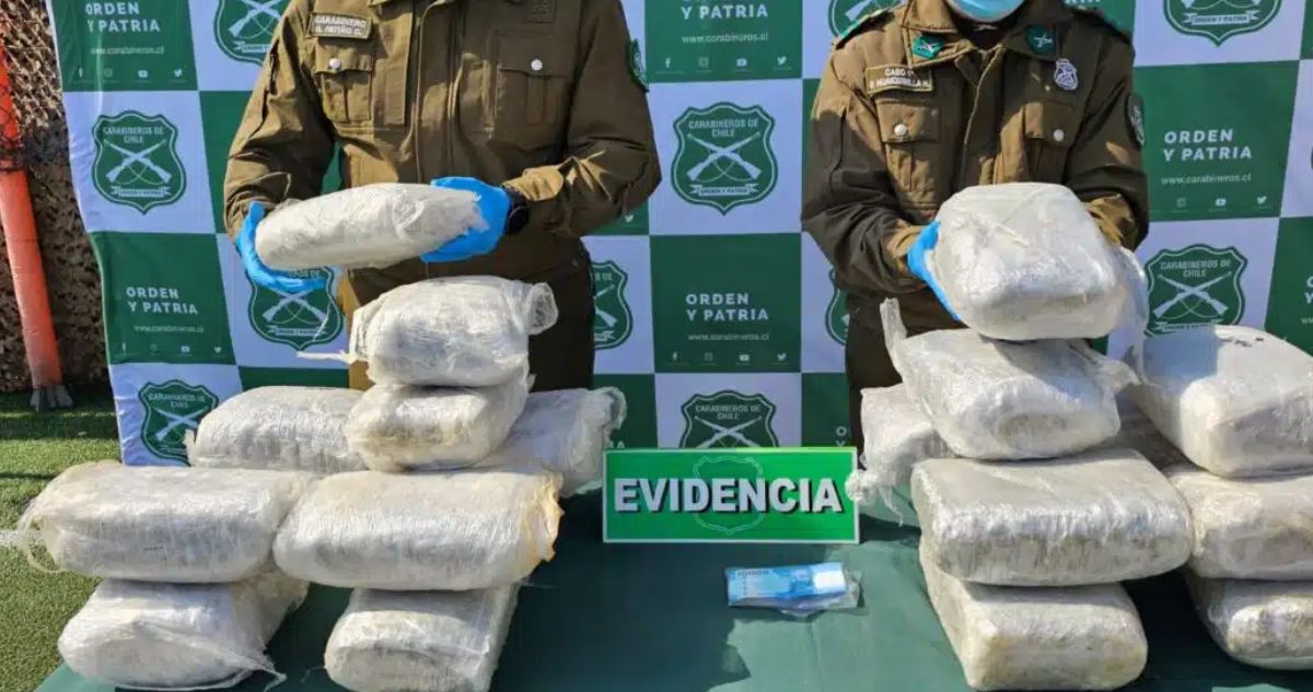 Histórica Incautación de Más de 700 Kilos de Marihuana en Antofagasta