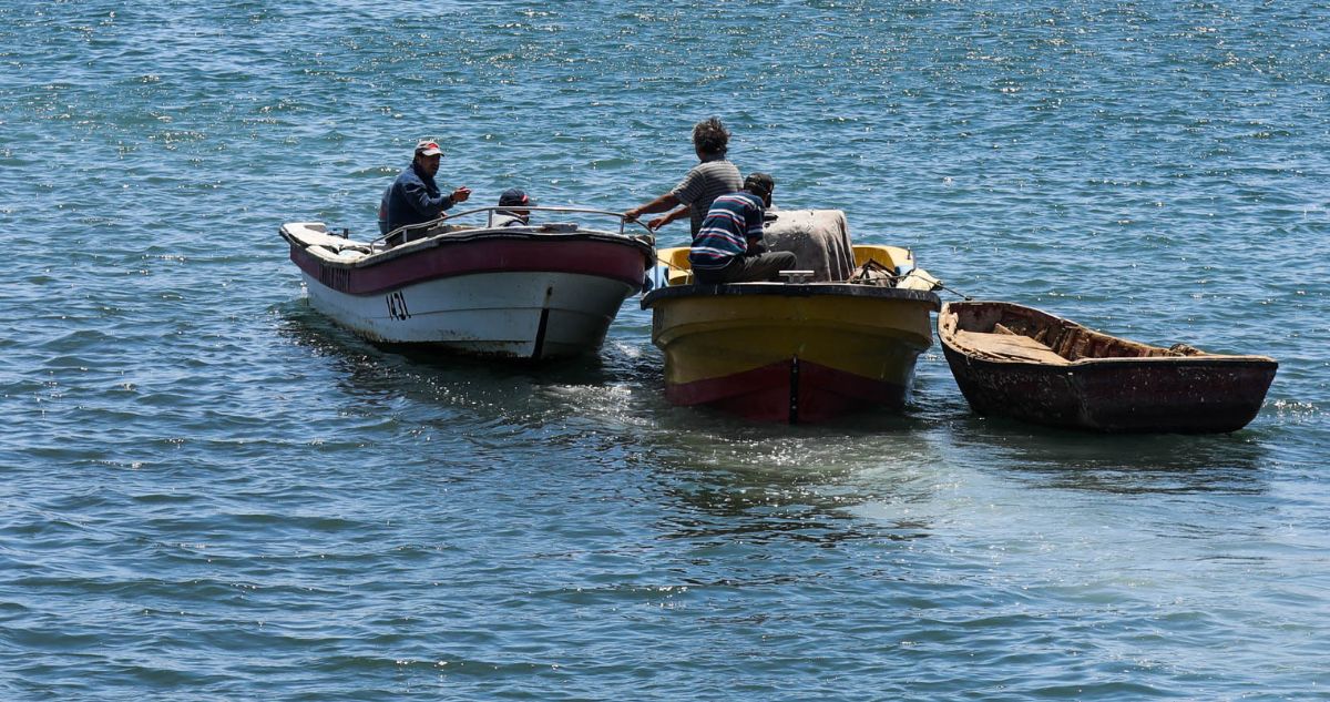Histórico Acuerdo Pesquero Entre Regiones: Pescadores de Los Lagos Autorizados a Operar en Aysén