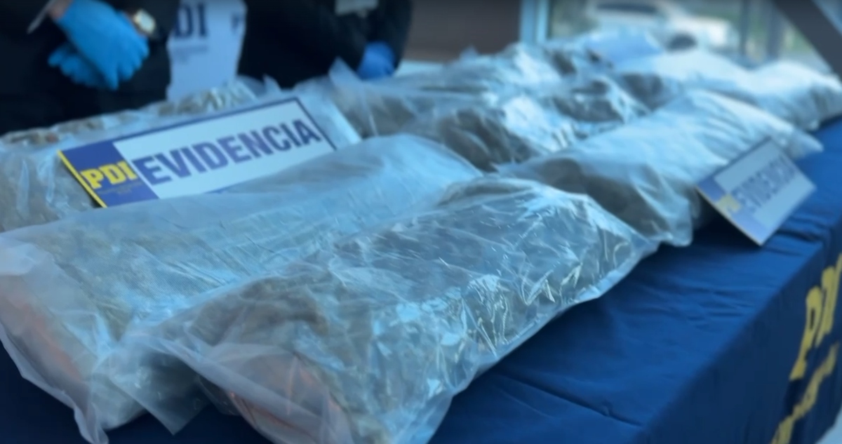 Incautados $100 Millones en Marihuana: Dos Sujetos Detenidos en Operativo Policial