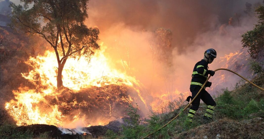 Incendios Forestales en Portugal: Una Lucha Colectiva Contra las Llamas