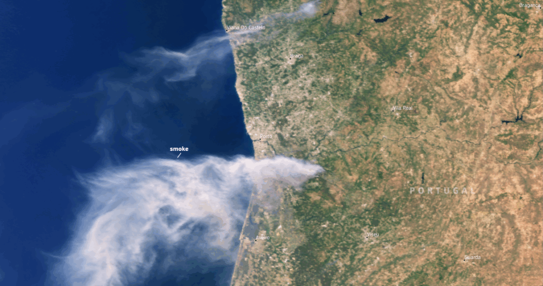 Incendios Forestales en Portugal: Una Perspectiva Satelital Reveladora