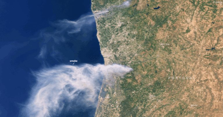 Incendios Forestales en Portugal: Una Perspectiva Satelital Reveladora