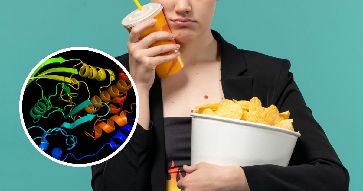 La Proteína 'Escudo' que Protege el Corazón de Daños por Obesidad y Dieta Alta en Grasas
