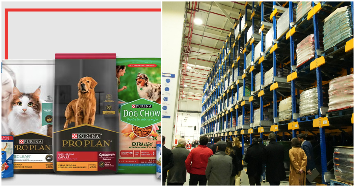 Nestlé Transforma Chile en Centro Estratégico para Alimentos de Mascotas en Latinoamérica