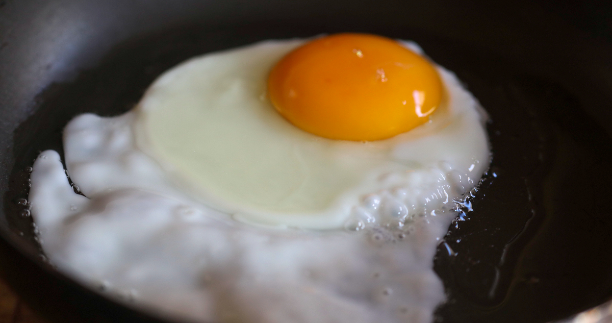 Producción de huevos en Chile aumenta, pero precios también suben por factores estacionales