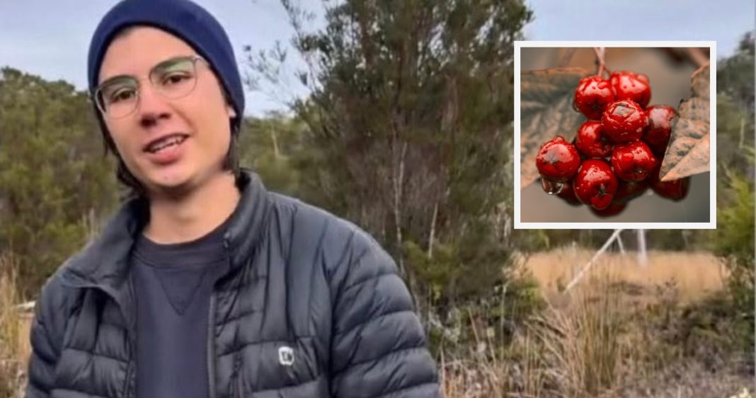 Supervivencia Heroica: Cómo Sebastián Gotschlich Venció los Desafíos del Parque Tepuhueico