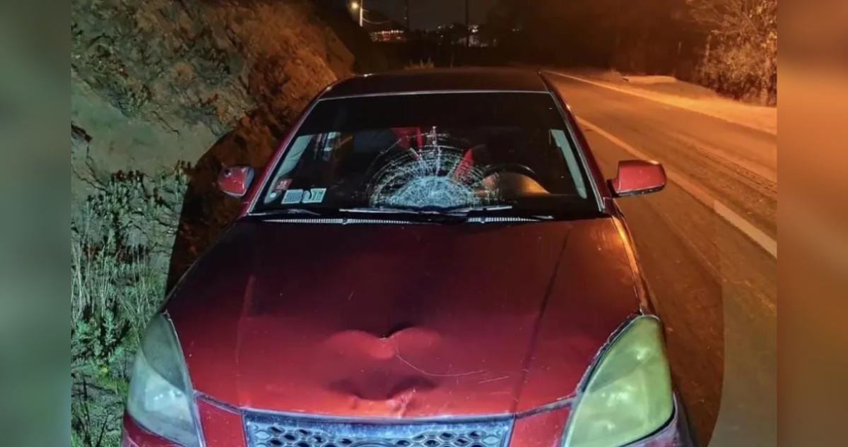 Trágico Accidente en Punitaqui: Adulto Mayor Pierde la Vida en Atropello