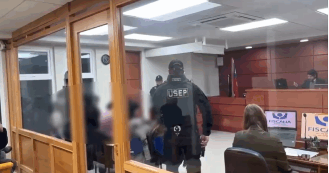 Tres Miembros de Liberación Nacional Mapuche Enfrentan Cargos por Ataques Incendiarios