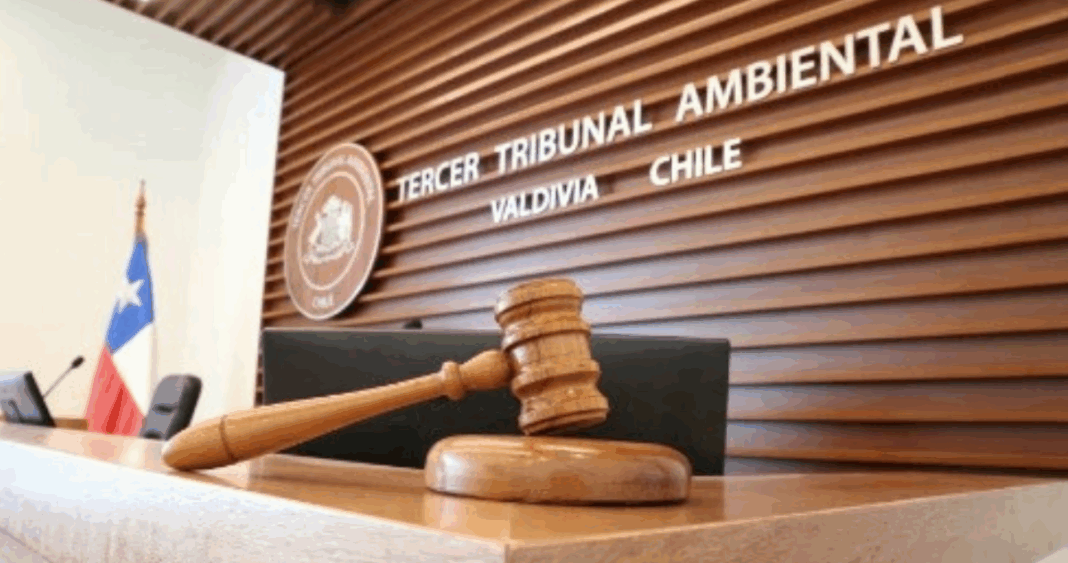 Tribunal Ambiental Rechaza Reclamación Contra Archivo de Denuncias Sobre Proyecto Mall Paseo Valdivia