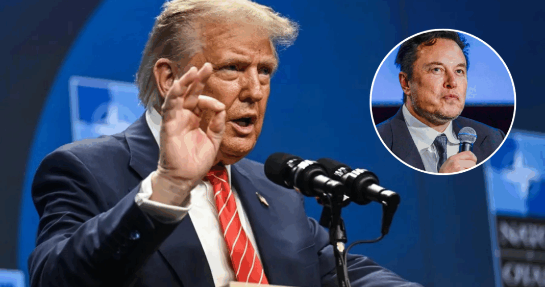 Trump Amenaza con Expulsar a Elon Musk de EEUU: Una Batalla de Egos en la Cima del Poder
