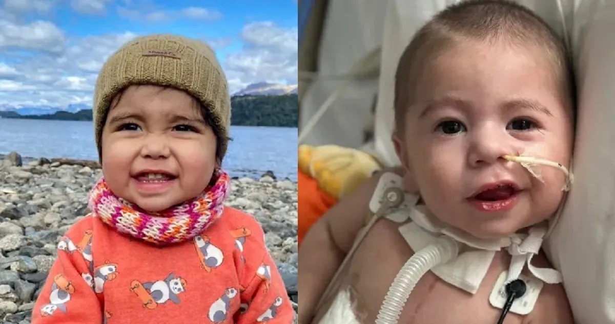 Un Corazón que Late por Dos: El Histórico Trasplante Pediátrico que Unió a Dos Niños de Neuquén