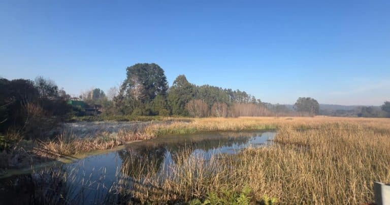 Valdivia, la