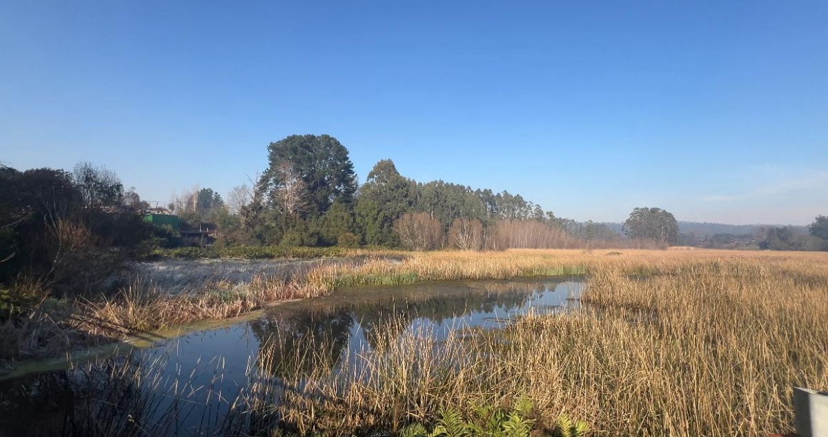 Valdivia, la