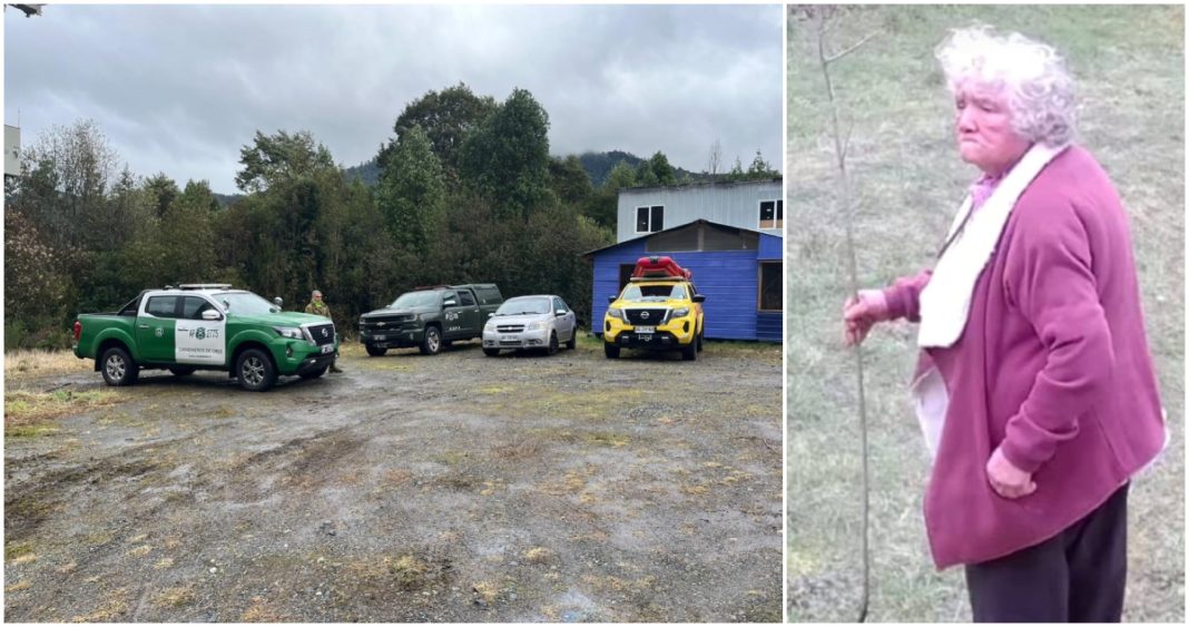 Adulta Mayor Desaparecida en Puerto Montt: Familia Clama por Información Veraz