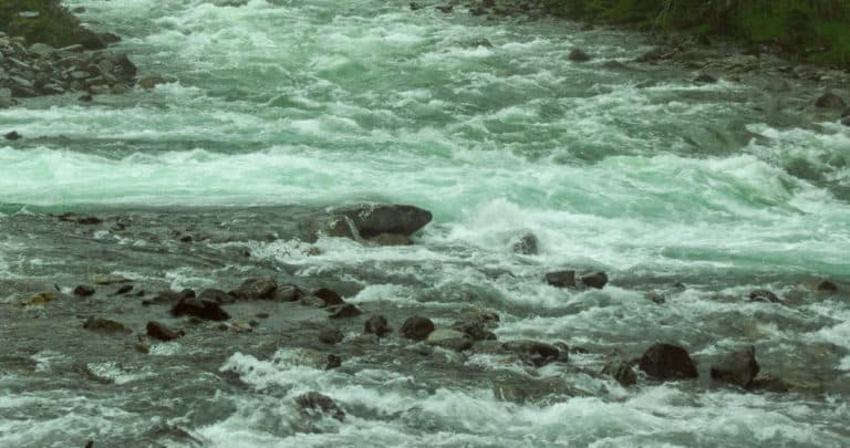 Alerta Roja en Puerto Montt: Senapred Activa Protocolo de Emergencia por Desborde del Río Lenca