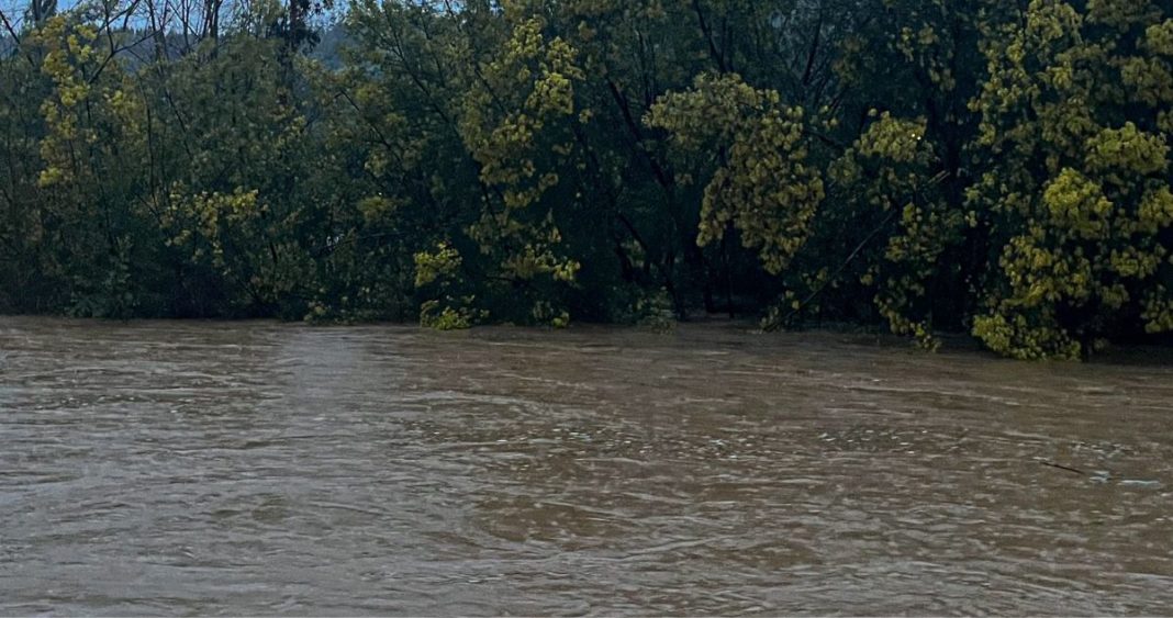Alerta Roja en Renaico: Río Vergara se desborda y amenaza a familias