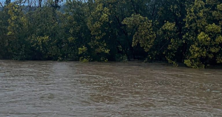 Alerta Roja en Renaico: Río Vergara se desborda y amenaza a familias