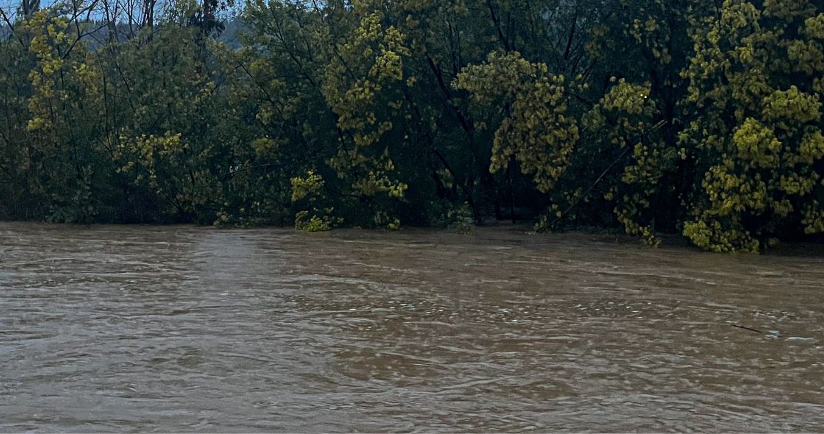 Alerta Roja en Renaico: Río Vergara se desborda y amenaza a familias