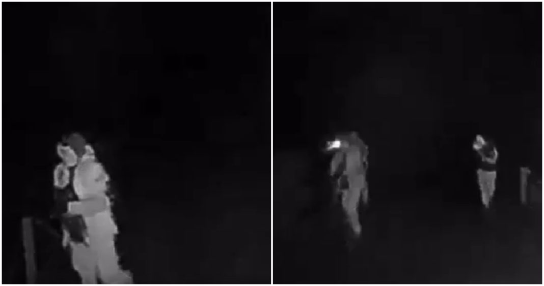 Ataque Mortal en Victoria: Trabajadores Forestales Emboscados a Sangre Fría
