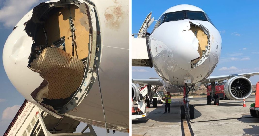 Aterrizaje de Emergencia: Avión de Iberia Impacta con Ave Tras Despegar de Madrid